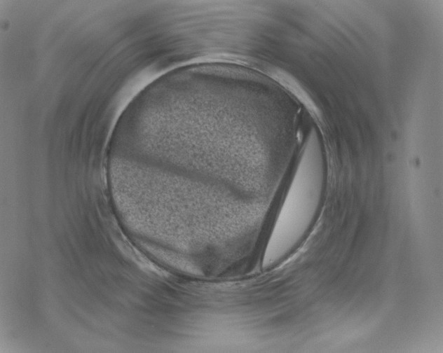 X0000074011292200609111614