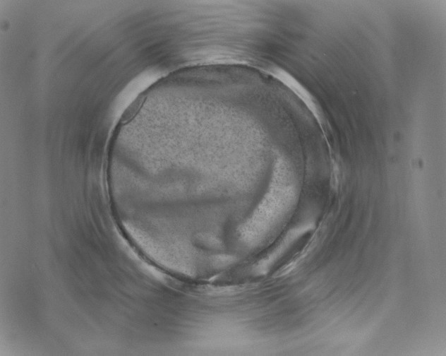 X0000074011293200609111614