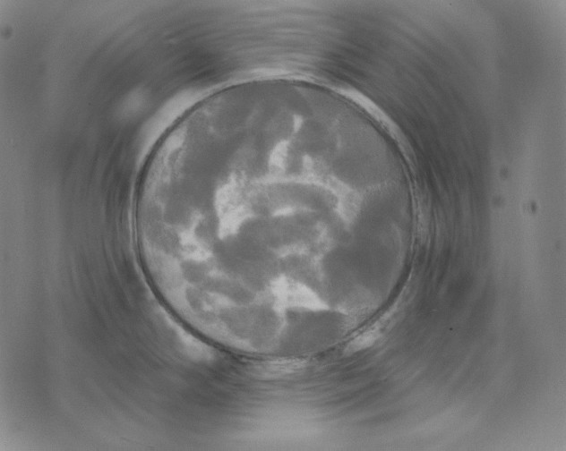 X0000074011294200609111614