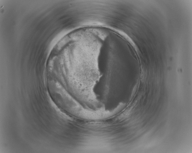 X0000074011295200609111614