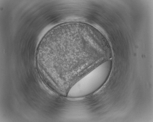 X0000074011296200609111614