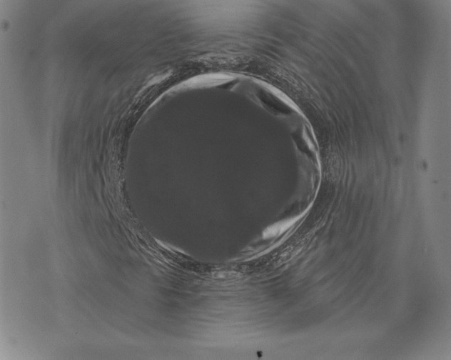 X0000074011297200609111613