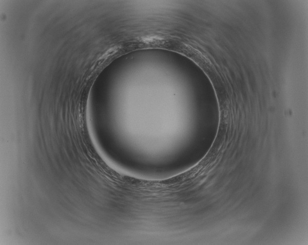 X0000074011298200609111613