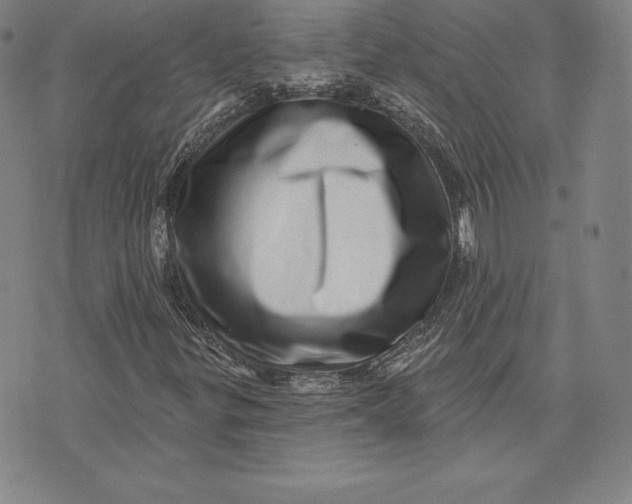 X0000074011299200609111613