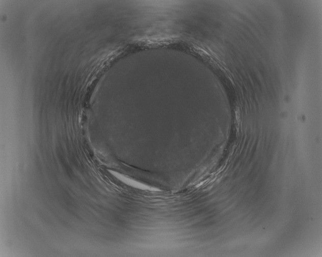 X0000074011300200609111613