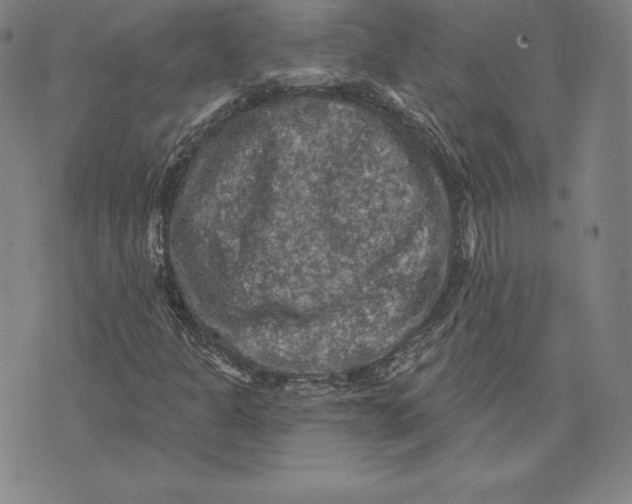 X0000074011301200609111613