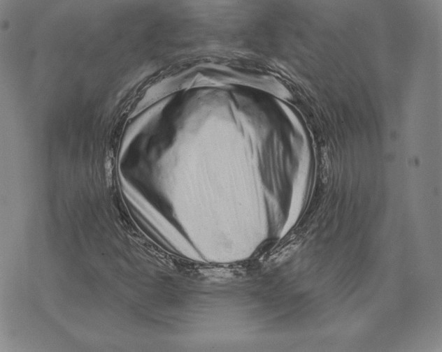 X0000074011302200609111613