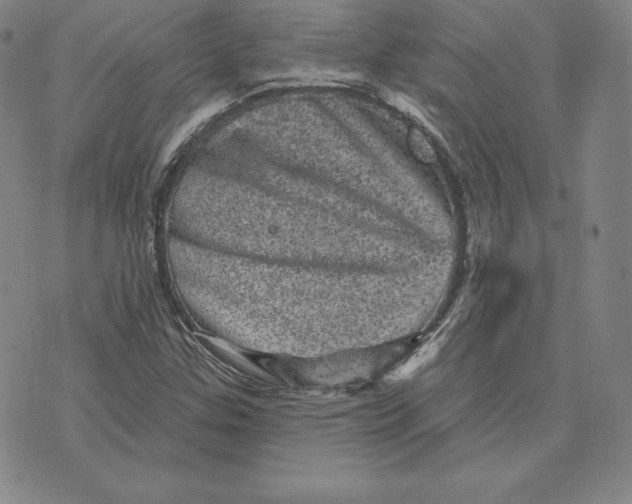 X0000074011307200609111613