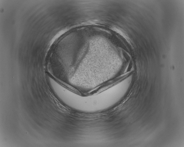 X0000074011308200609111613