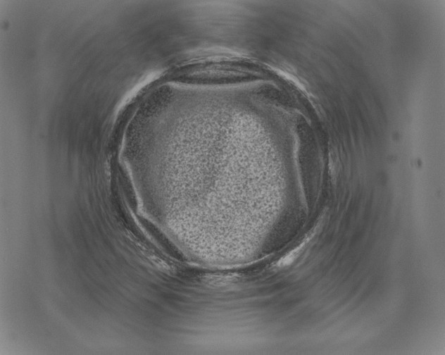 X0000074011309200609111613