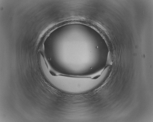 X0000074011310200609111613