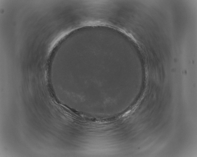 X0000074011311200609111613