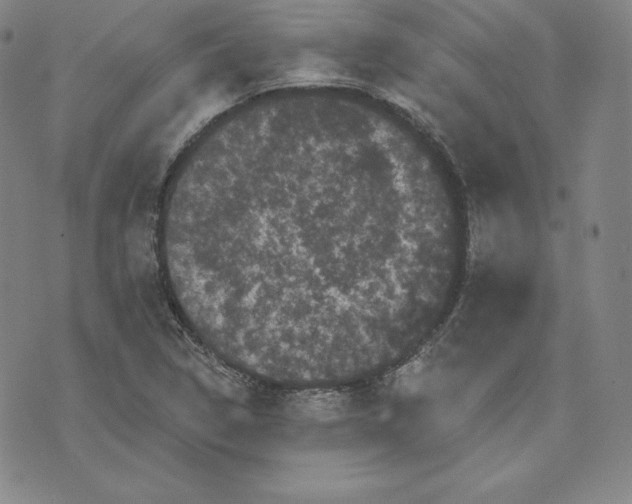 X0000074011314200609111613