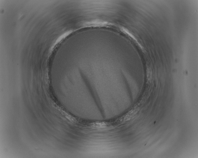 X0000074011315200609111613