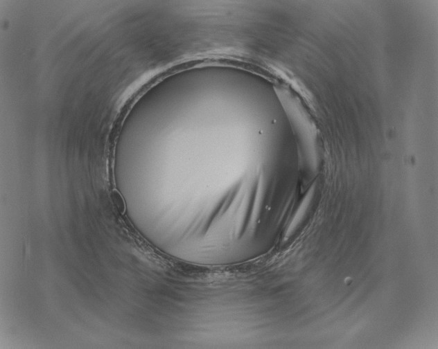 X0000074011316200609111613