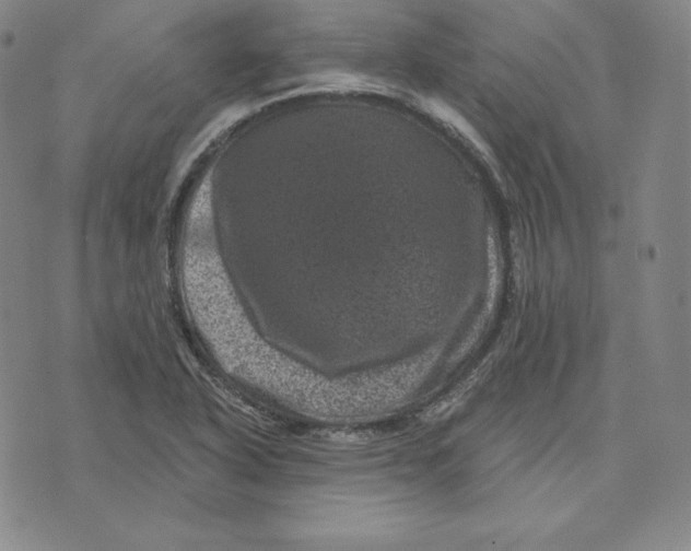 X0000074011318200609111613