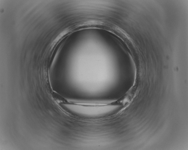 X0000074011321200609111614