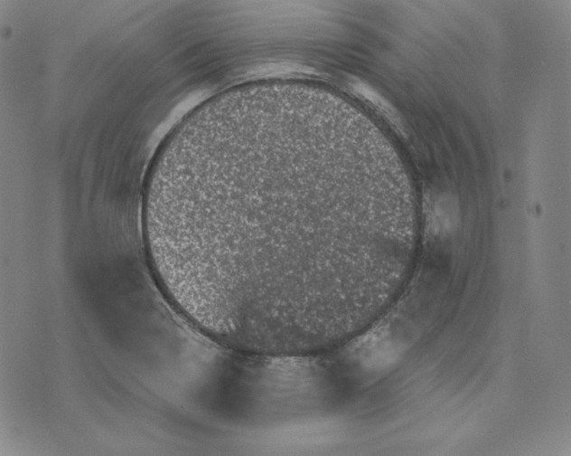 X0000074011322200609111614