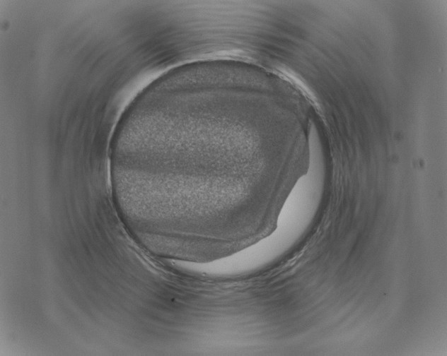 X0000074011324200609111614