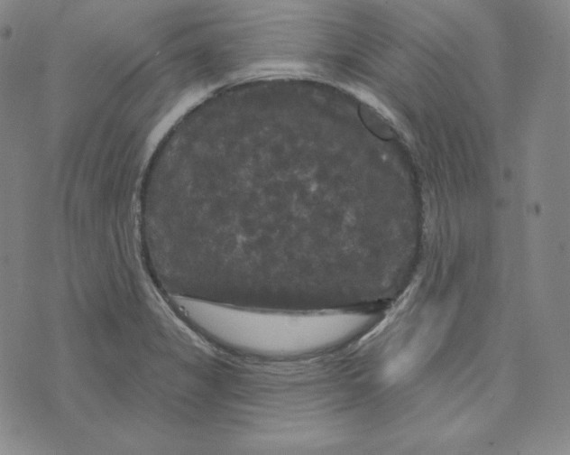 X0000074011325200609111614