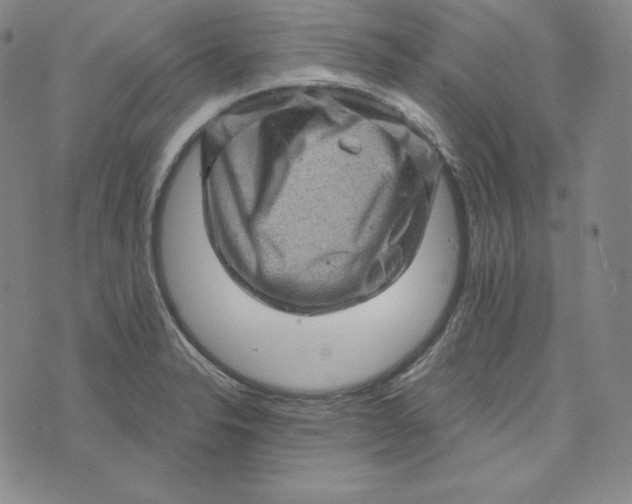 X0000074011326200609111614