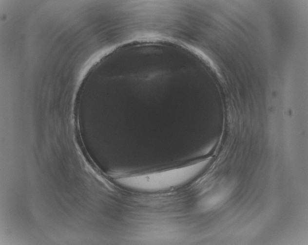 X0000074011327200609111614