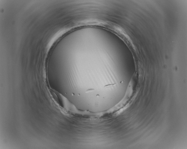 X0000074011328200609111614