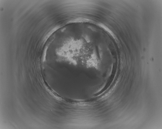 X0000074011329200609111614