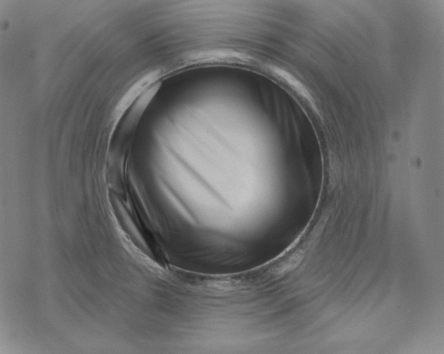 X0000074011330200609111614