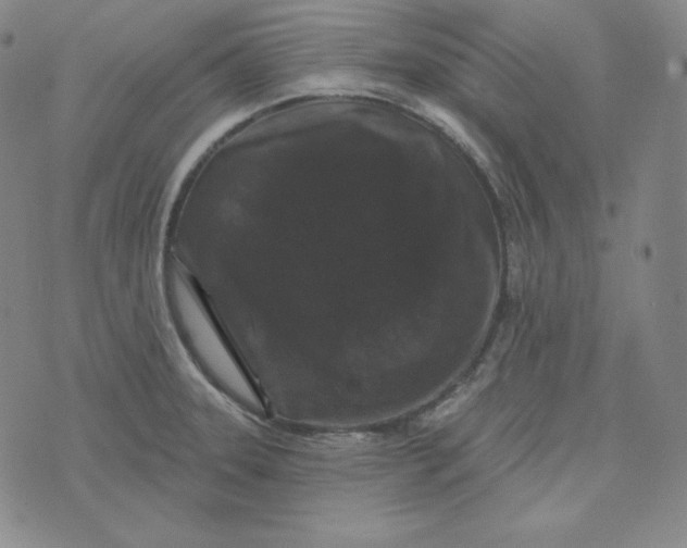 X0000074011331200609111614