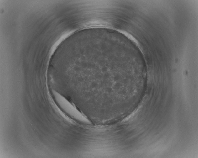 X0000074011333200609111614