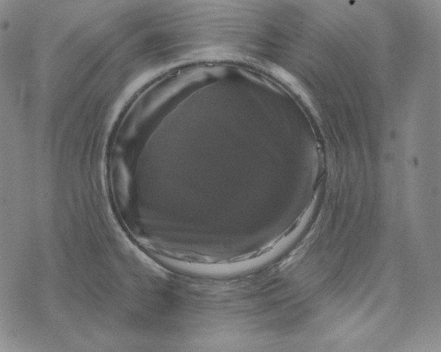 X0000074011334200609111614