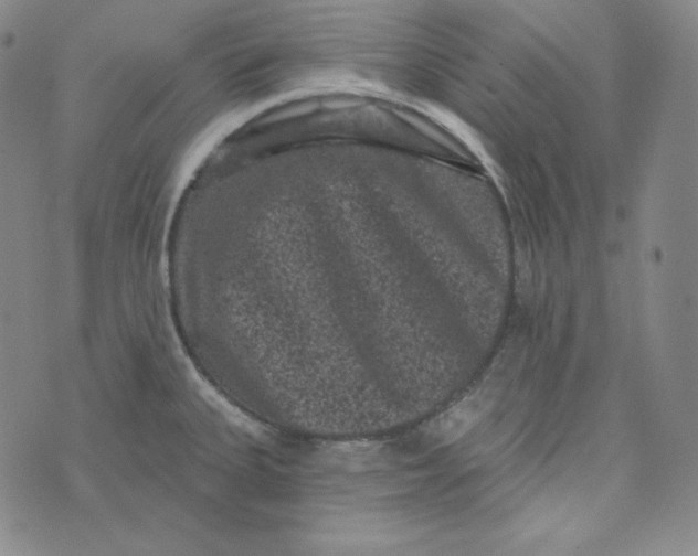 X0000074011335200609111614