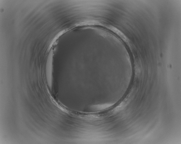 X0000074011337200609111614