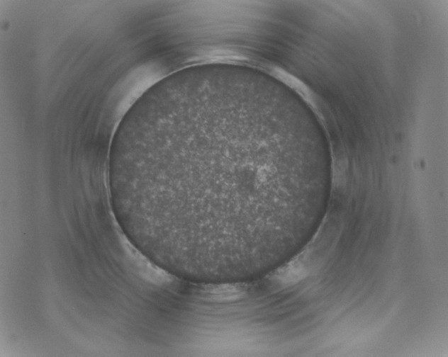 X0000074011338200609111614