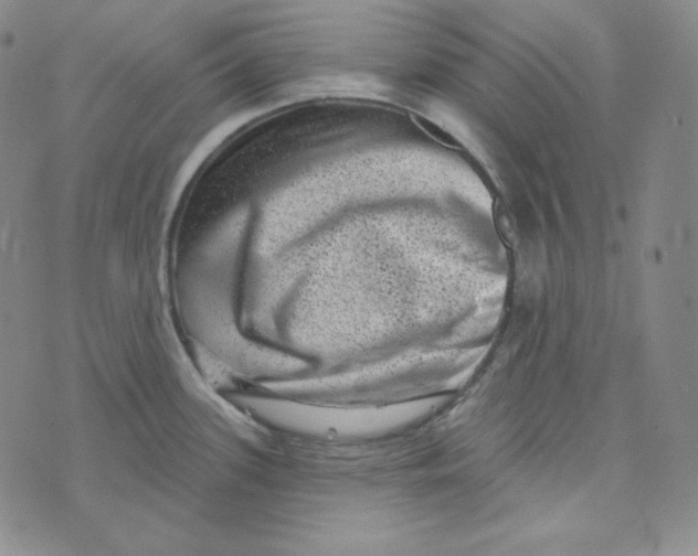 X0000074011339200609111614