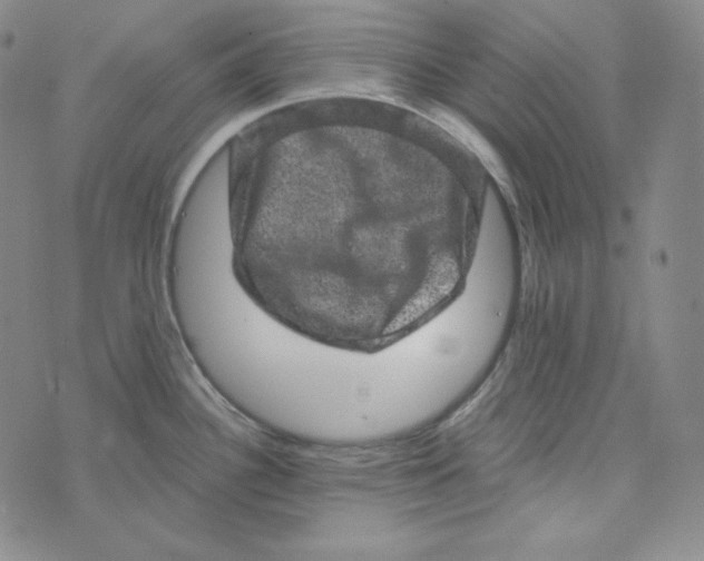 X0000074011340200609111614