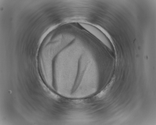 X0000074011341200609111614