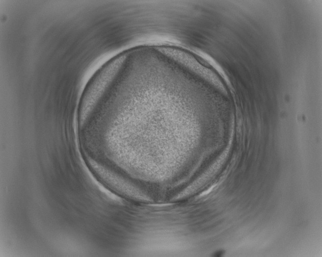 X0000074011343200609111614