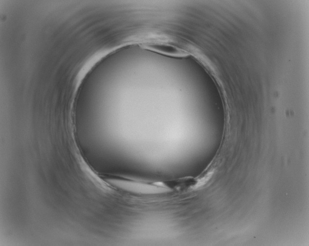 X0000074011344200609111614