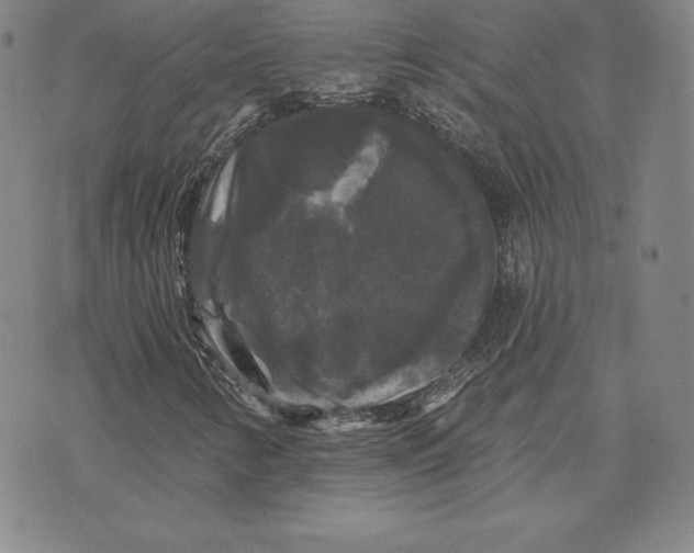 X0000074011346200609111613