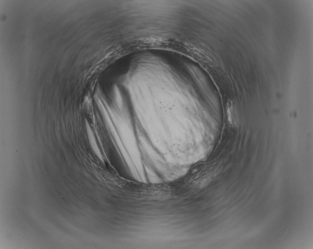 X0000074011347200609111613