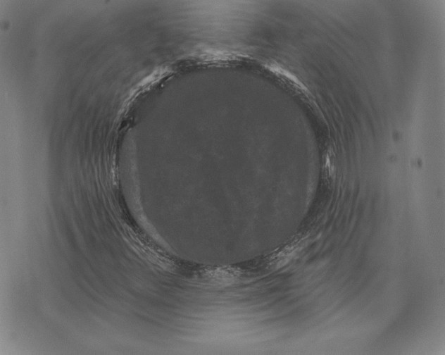 X0000074011348200609111613