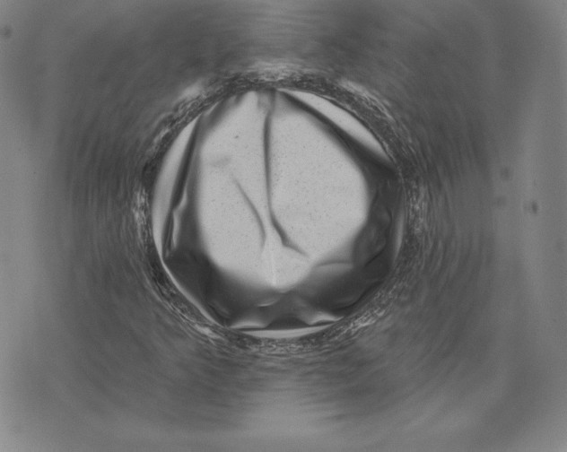 X0000074011349200609111613