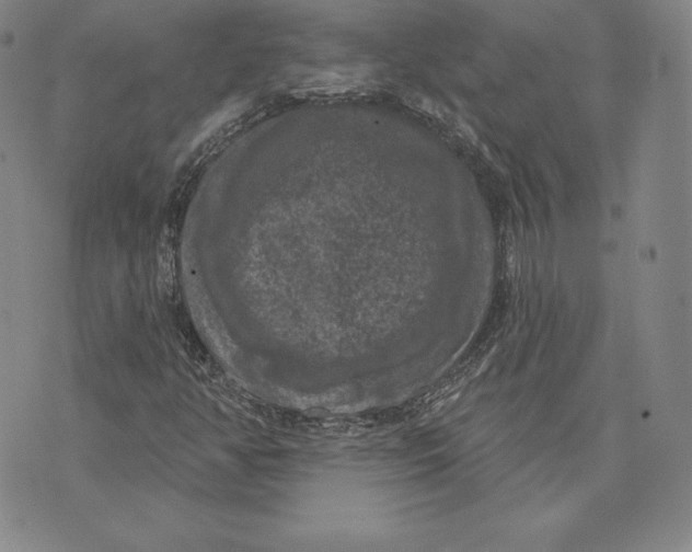 X0000074011350200609111613