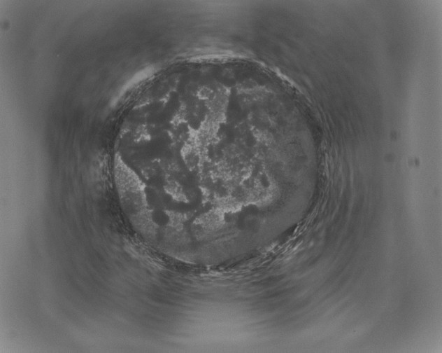 X0000074011351200609111613