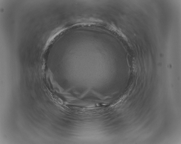 X0000074011352200609111613