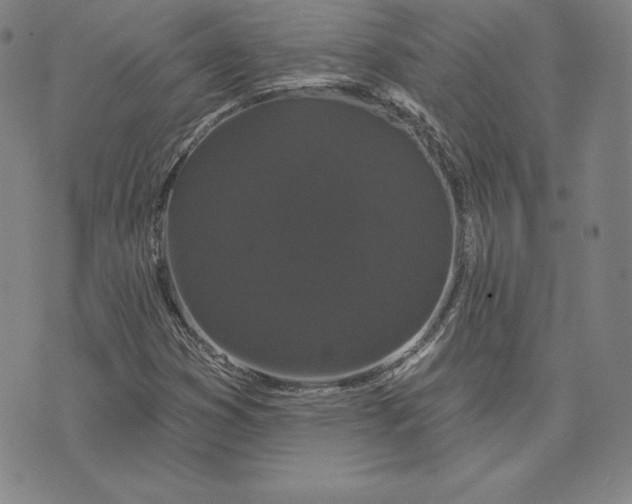 X0000074011353200609111613