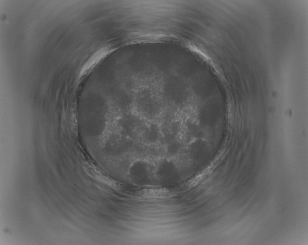 X0000074011354200609111613