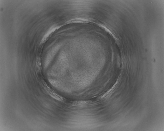 X0000074011355200609111613